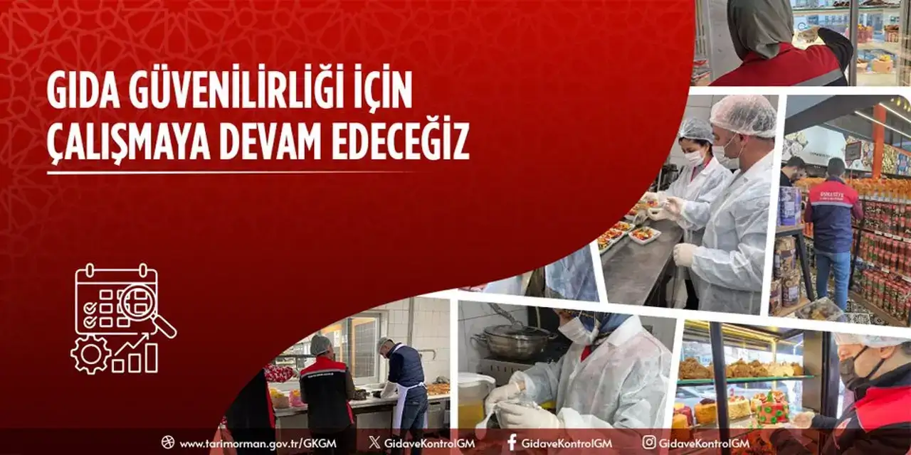 Alışverişten Mutfağa Bakanlık'tan Gıda Güvenliği Rehberi 11
